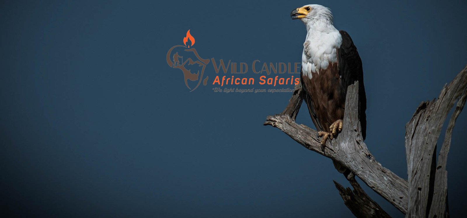 9 Days Luxury Honeymoon Safari + Zanzibar (Tarangire, Manyara, Ngorongoro, Serengeti - Zanzibar)