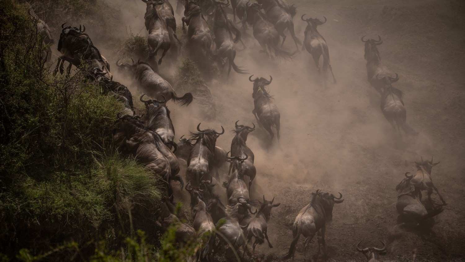 10-DAY COMFORT NORTH SERENGETI MIGRATION SAFARI + CULTURAL EXPERIENCE (Materuni waterfalls, Tarangire, Lake Natron, Serengeti, Ngorongoro crater & Mto wa Mbu Village visit)