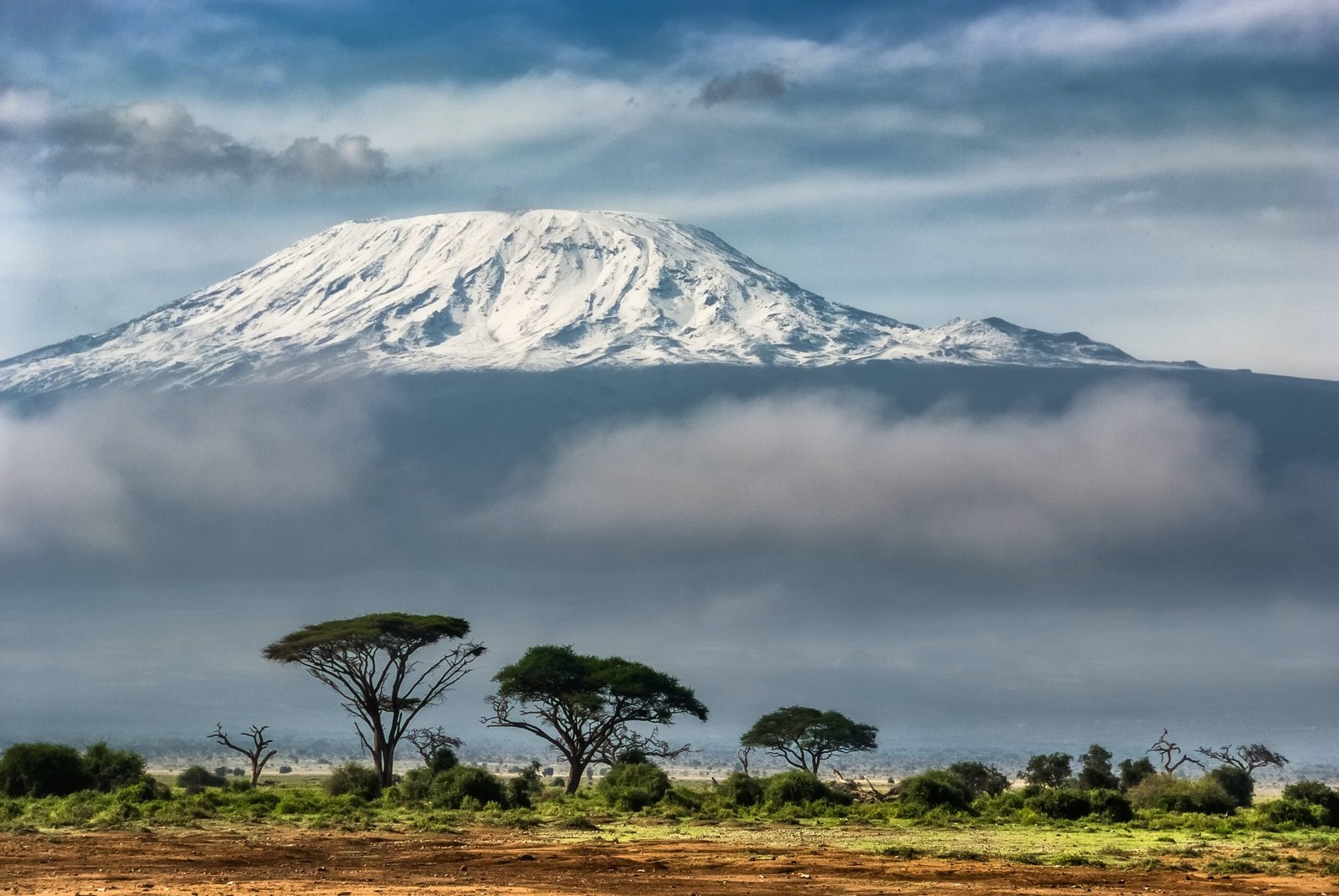 Day Trip To Western Kilimanjaro